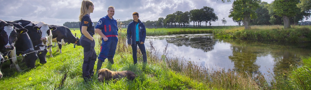 Boer Jansen Wadi