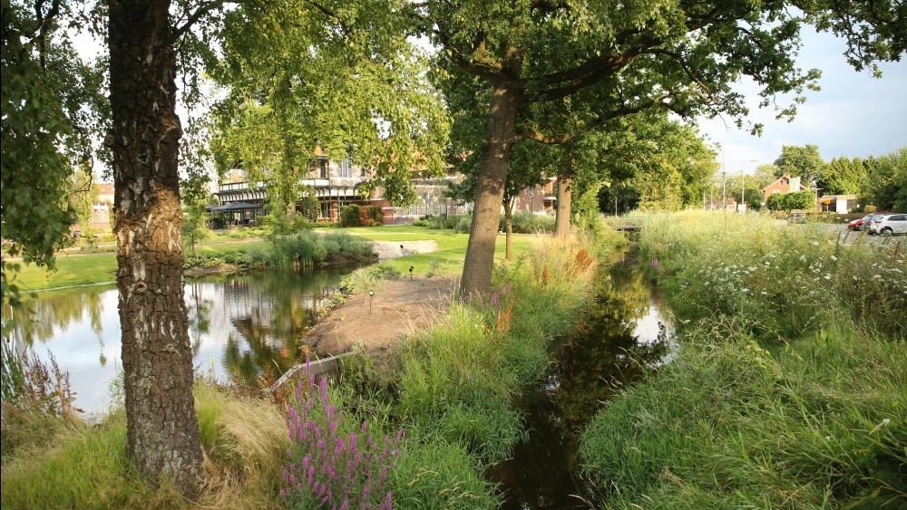 Berflobeek verenigingsgebouw