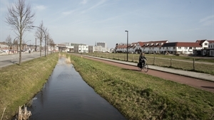 Hart van Zuid - Balkstbeek