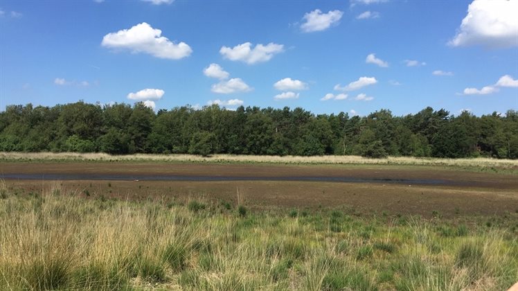 Usselerveen droogte