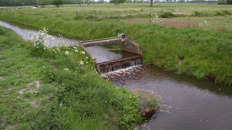 Nieuwe Drostendiep