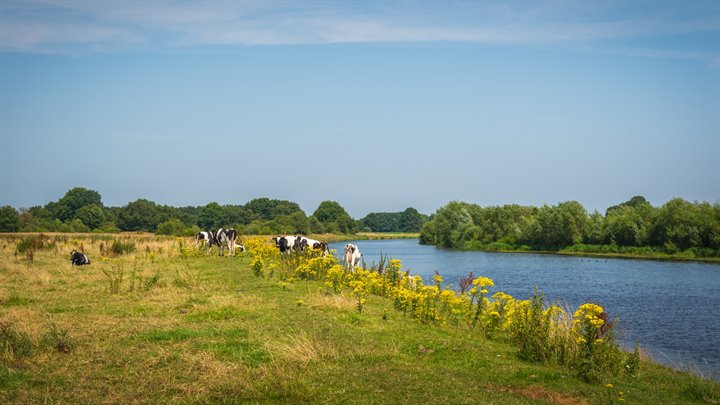 Vecht_bij_Rheezermaten