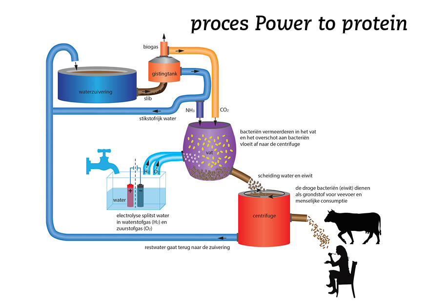 proces_powertoprotein