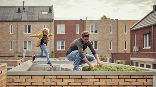 Een daktuin aanleggen lr