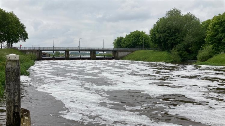 Hoog water Vecht mei 2021