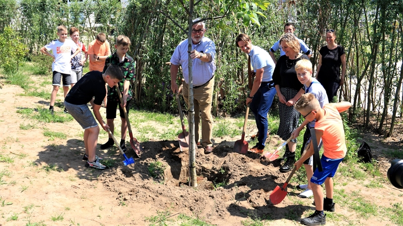 CBS De Akker walnootboom plant een walnootboom met wethouder Alwin te Rietstap en waterschapsbestuurder Wim Stegeman