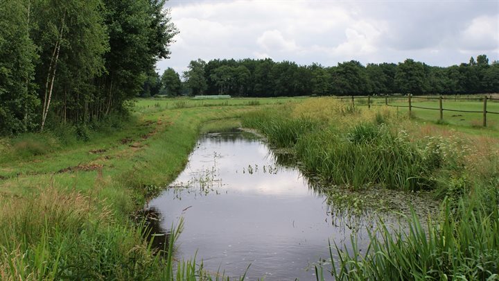 Aalderstroom