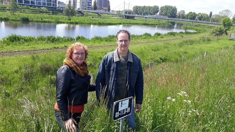 Wandelen dijkwacht