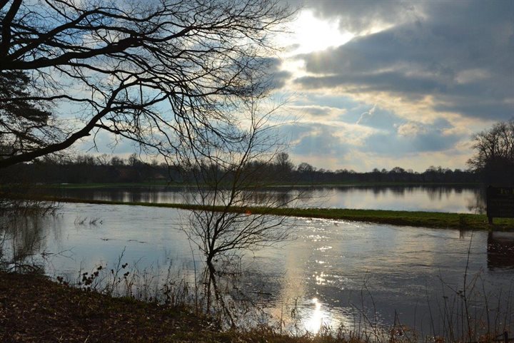 Hoog water Dinkel