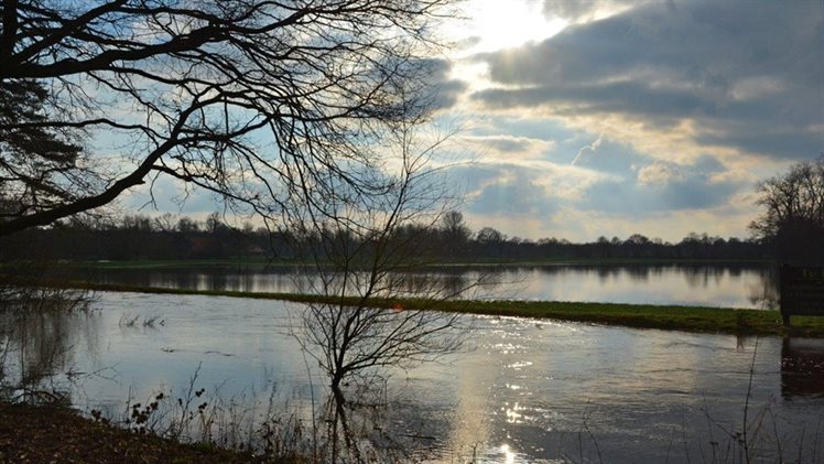 Hoog water Dinkel