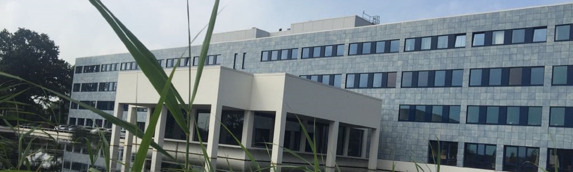 Kantoor in Almelo carrou