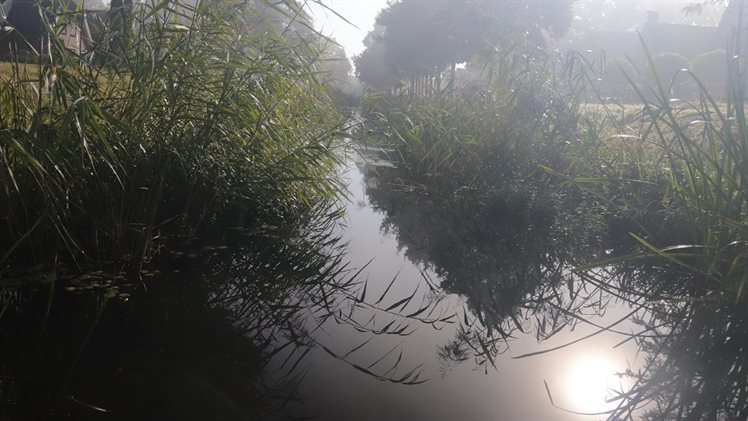 De Vossenbeek te Hengelo