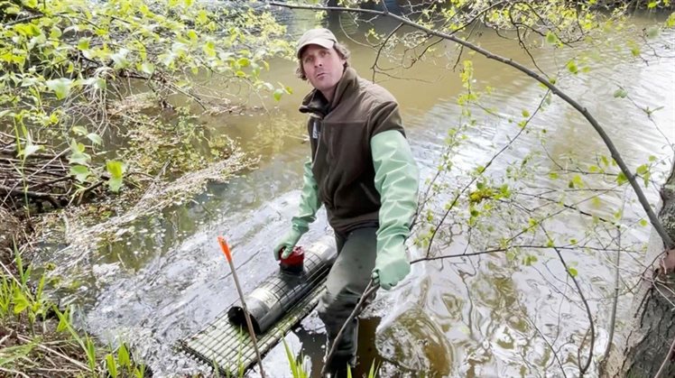 Waterbaas Teun muskusratbestrijder