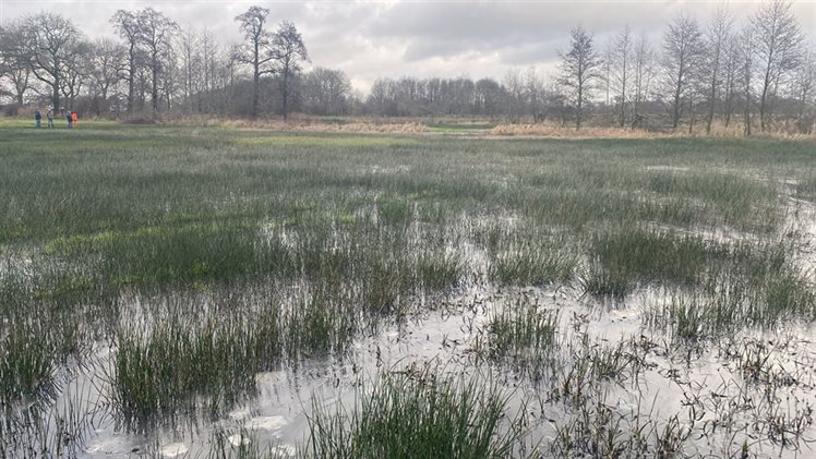 Aalden en Oosterhesselen