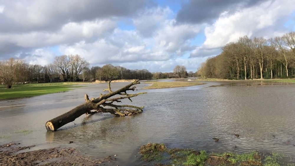 Dinkel hoog water