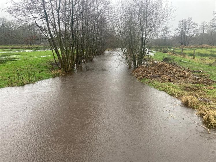 Hoog water Drenthe