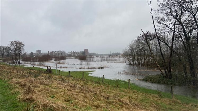 Vecht buiten de oever