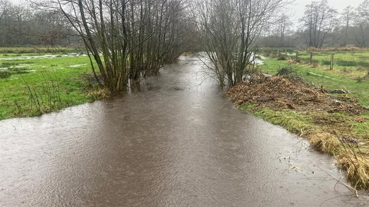 Hoog water Drenthe