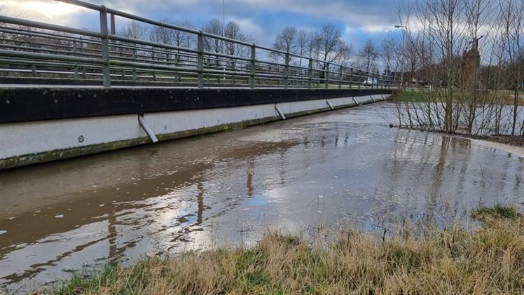 Dinkel bij Losser Hoog onder brug