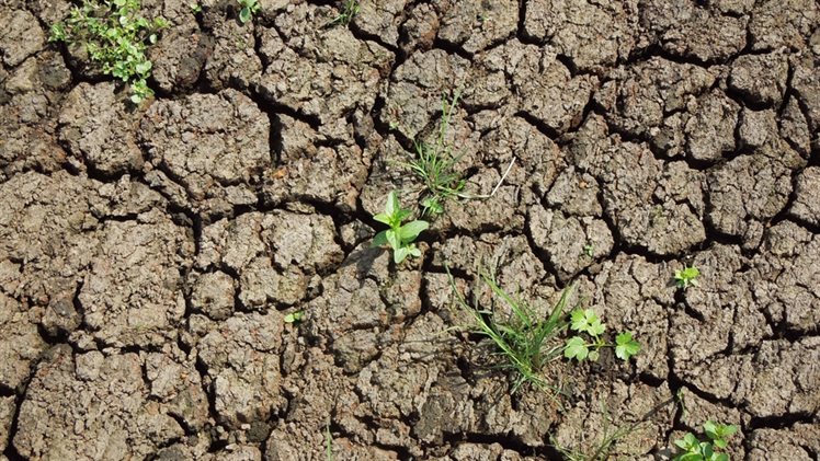 VOL Droogte foto grond klein