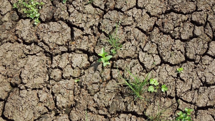 VOL Droogte foto grond klein