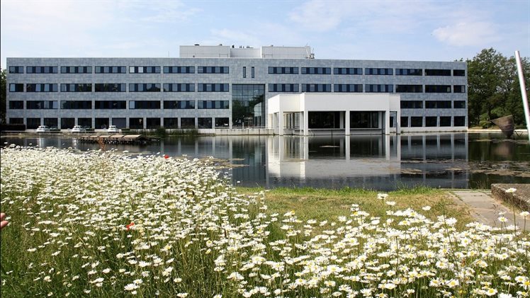 Gebouw met margrieten web