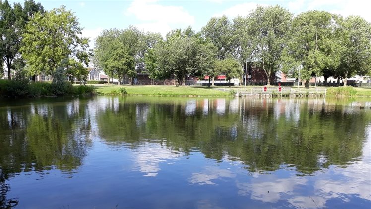 Vijver Tichelpad