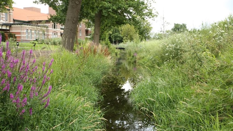 Berflobeek verenigingsgebouw 2