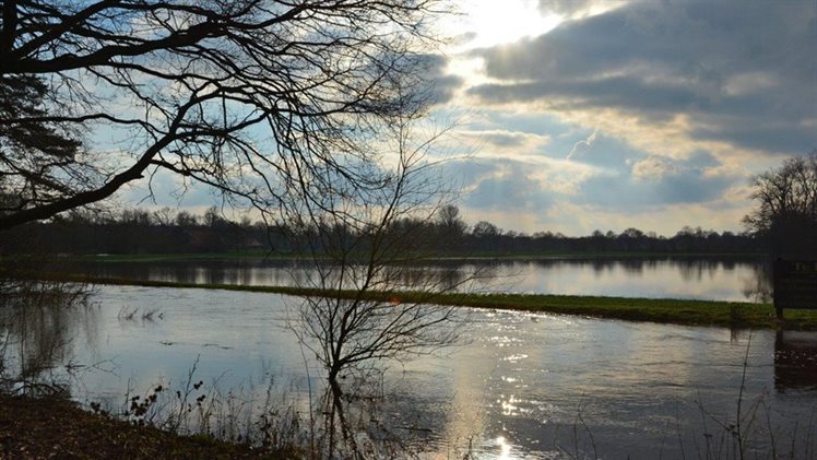 Hoog water Dinkel