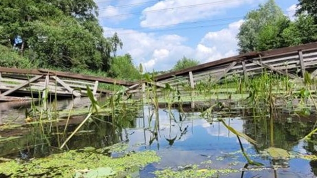 Brug bij De Tatums