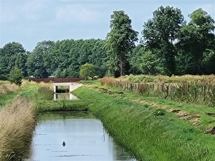 Nieuwe Drostendiep