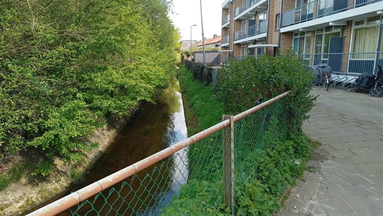 berflobeek weth kampstraat in Hengelo