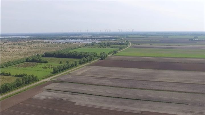 Stheemanstraat bij Bargerveen
