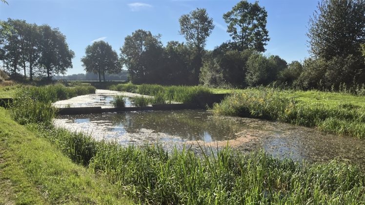 stuw in de Geelebeek