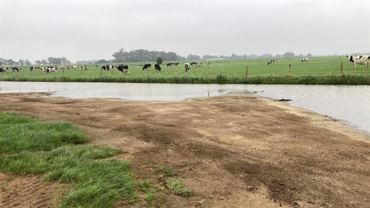 Baalder Uiterwaard bij Hardenberg