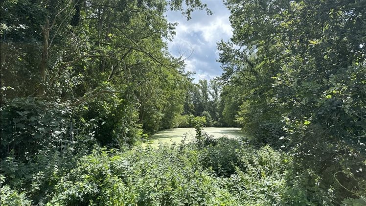 oude vechtarm bij Ommen