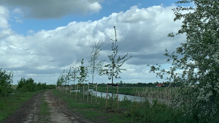 Zwolsekanaal fase 1