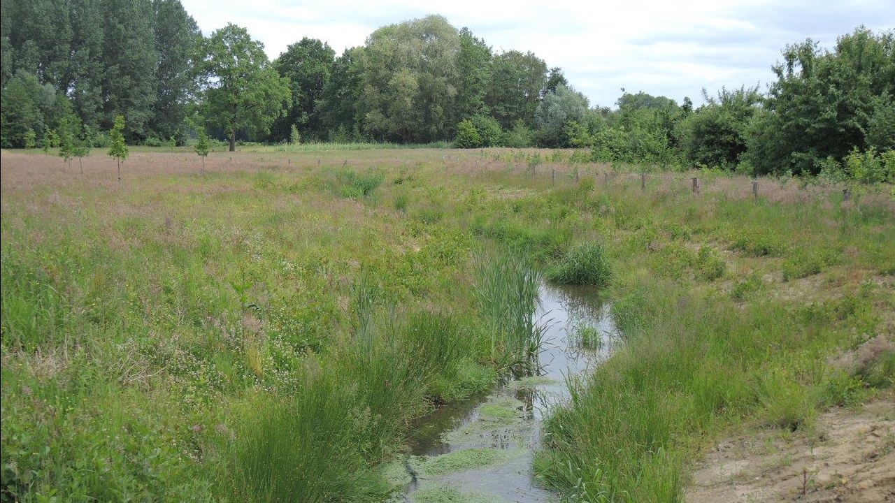 Nieuwe meanders aangelegd