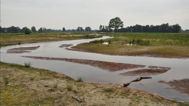 Elsenerbeek, beekdal deels verlaagd, net na uitvoering met hoog water