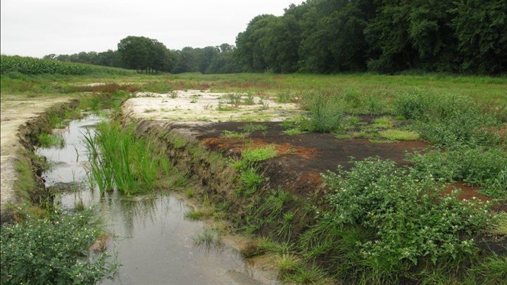 Nieuwe overstromingszone langs de Hagmolenbeek