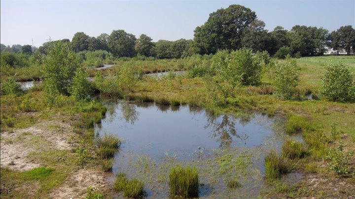 Overstromingszone langs de Doorbraak bij Almelo