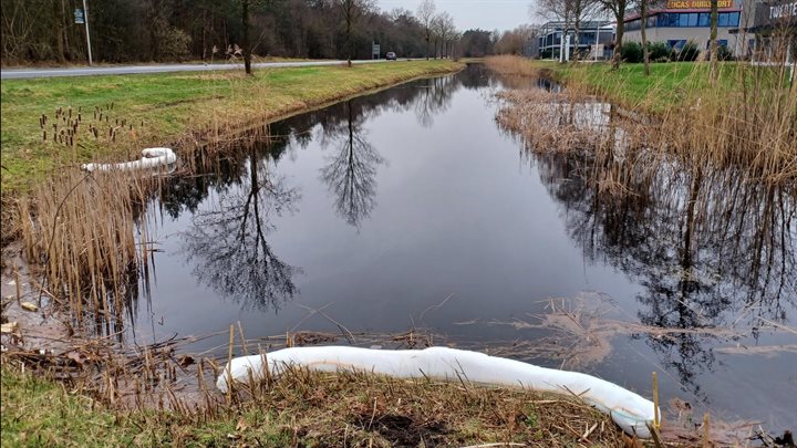 Dode vissen Nijverdal