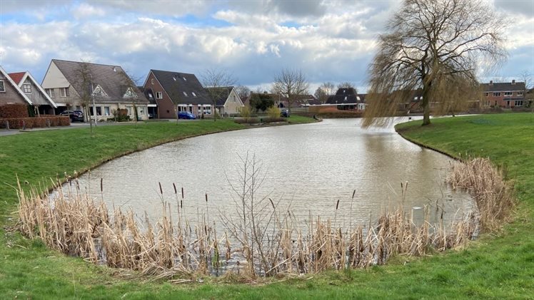 Vijver wijk Broekmaten