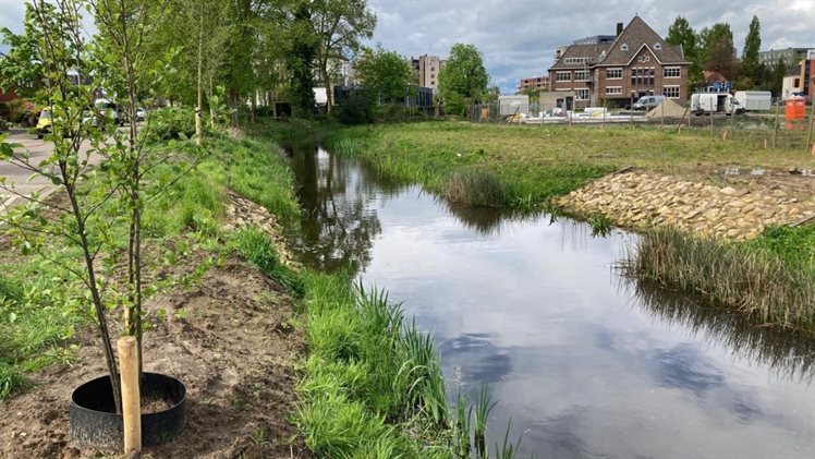 Berflobeek aan Marskant in Hengelo