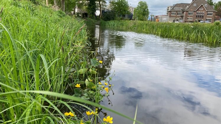 Berflobeek aan Marskant in Hengelo