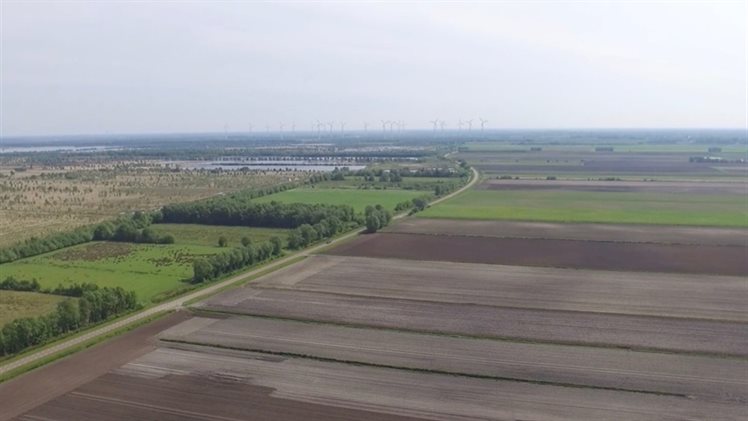 foto Stheemanstraat Bargerveen