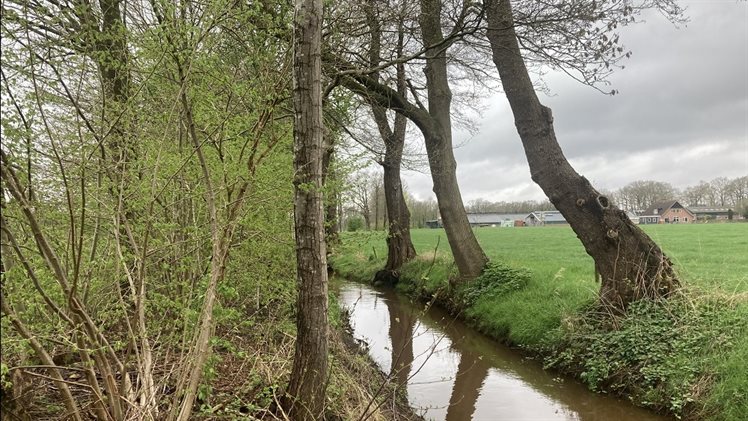 Sfeerbeeld Geestersche Molenbeek