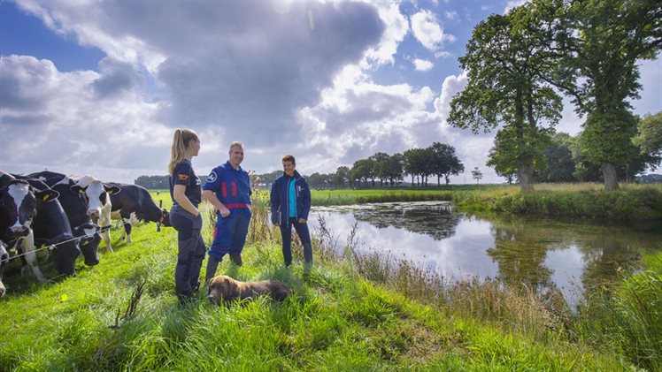 Boer Jansen Wadi