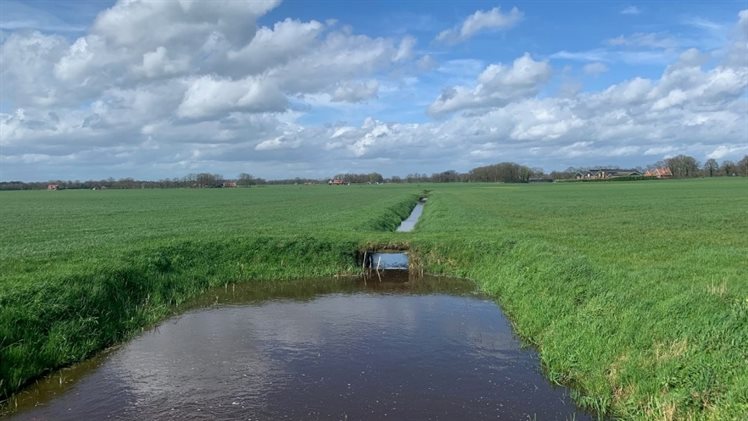 Roelinksbeek Voltherbeek
