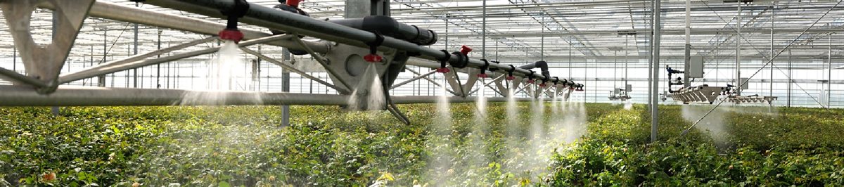 glastuinbouw binnen sproeien gewas uitsnede